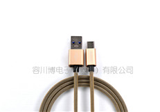 Type-c & USB3.1 1代鱼网编织金属壳土豪金